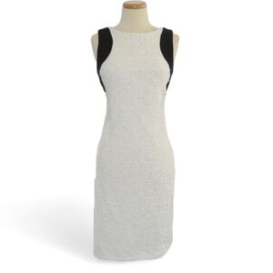 Calvin Klein Color Block Bodycon Stretch Sheath Dress